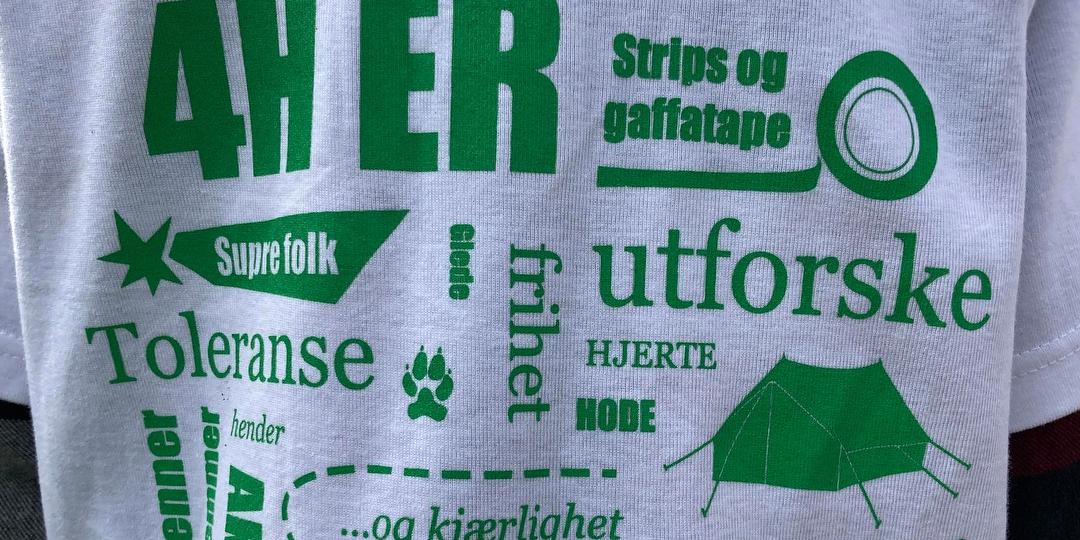 Bilde/illustrasjon om Syv Søstre 4H
