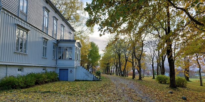 Bilde/illustrasjon for 17. Mai kafe 17. Mai kafe